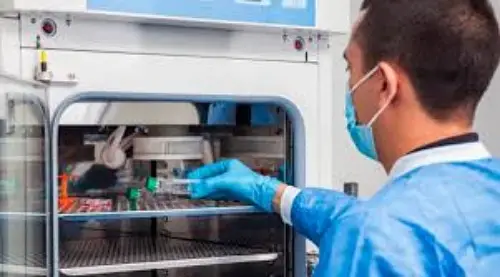 Imagem ilustrativa de Estudo de estabilidade